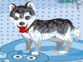 เกม My Cute Dog Bathing