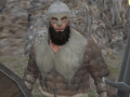 เกม Vikings Aggression