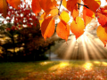 เกม Jigsaw Puzzle: Autumn