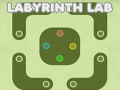 เกม Labyrinth Lab