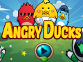 เกม Angry Ducks