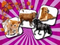 เกม Domestic Animal Memory Challenge