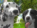 เกม Dog Simulator 3d