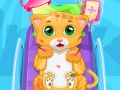 เกม Little Cat Doctor