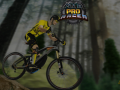 เกม MTB Pro Racer