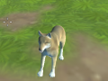 เกม Wolf Simulator