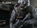 เกม Flashpoint