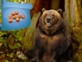 เกม Magical Autumn Forest