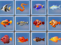 เกม Find The Fish