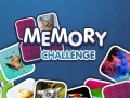 เกม Memory Challenge