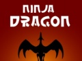 เกม Ninja Dragon