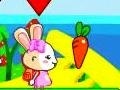 เกม Brother and sister rabbits