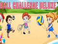 เกม Ball Challenge Deluxe