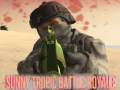 เกม Sunny Tropic Battle Royale