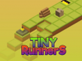 เกม Tiny RunnerS