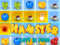 เกม Hamster Lost In Food