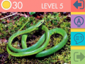 เกม 15 Picture Quiz