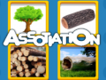 เกม Assotiation 