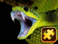 เกม Snake Puzzle Challenge