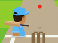 เกม Cricket FRVR
