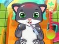 เกม Cat Doctor