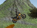 เกม Dirt Bike Rider