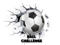 เกม Ball Challenge