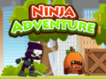 เกม Ninja Adventure