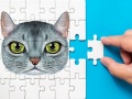 เกม Abyssinian Puzzle Challenge