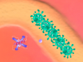 เกม Immunity Defense
