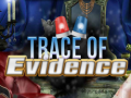 เกม Trace of Evidence