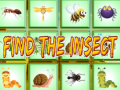 เกม Find The Insect