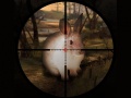 เกม Classical Rabbit Sniper Hunting 2019