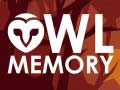 เกม Owl Memory
