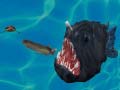 เกม Fish 3d