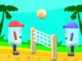 เกม Beach Volleyball