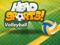 เกม Head Sports Volleyball