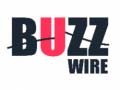 เกม Buzz Wire