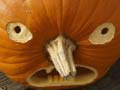 เกม 5 in 1 Picture Puzzle: Halloween