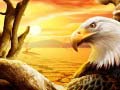 เกม Eagle