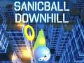 เกม Sanicball Downhill