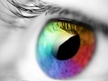 เกม Colours And Designs