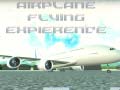 เกม Airplane Flying Expierence