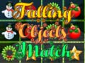 เกม Falling Objects Match 