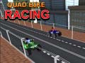 เกม Quad Bike Racing