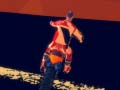 เกม Roost MX