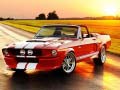เกม Fancy Mustang Differences