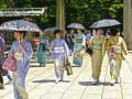 เกม 100 Butterflies in Japan