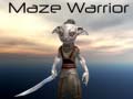 เกม Maze Warrior