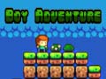 เกม Boy Adventure